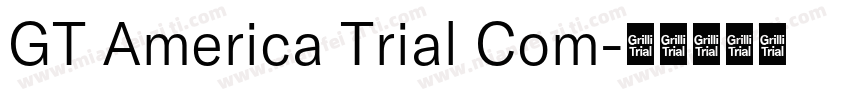 GT America Trial Com字体转换